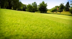 خیلی خیلی کوچک (2) (need for speed)